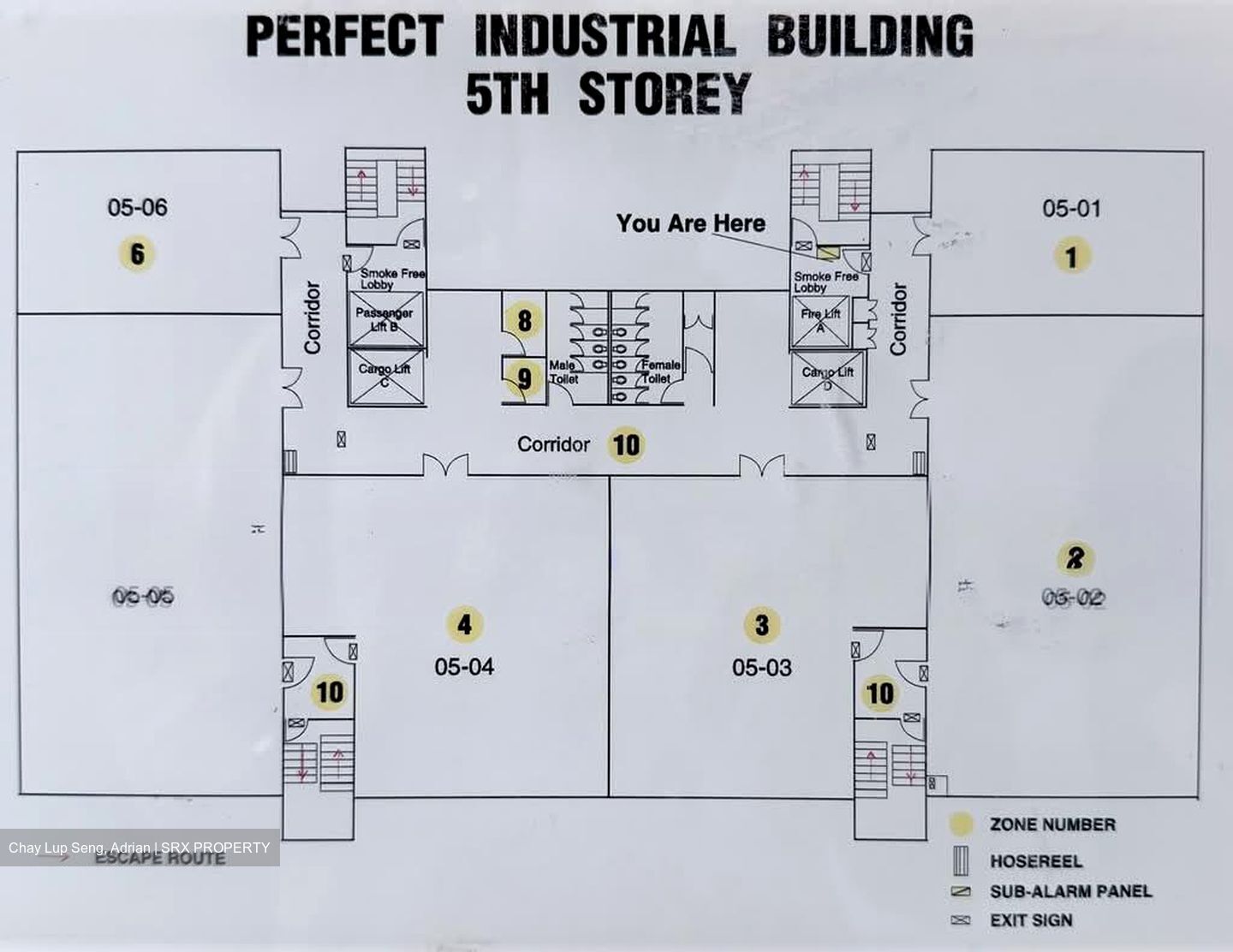 Perfect One (D13), Factory #589174711